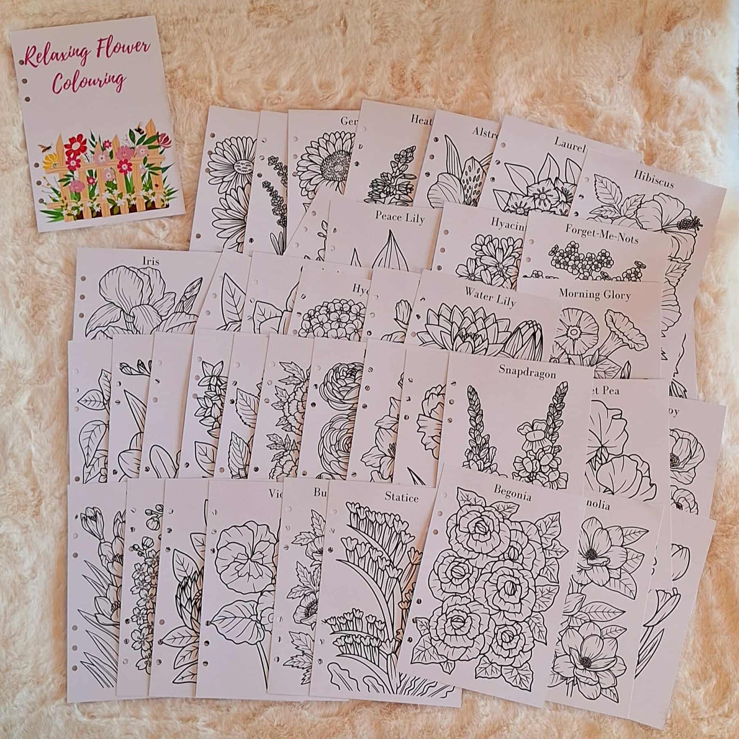 Flower colouring sheets