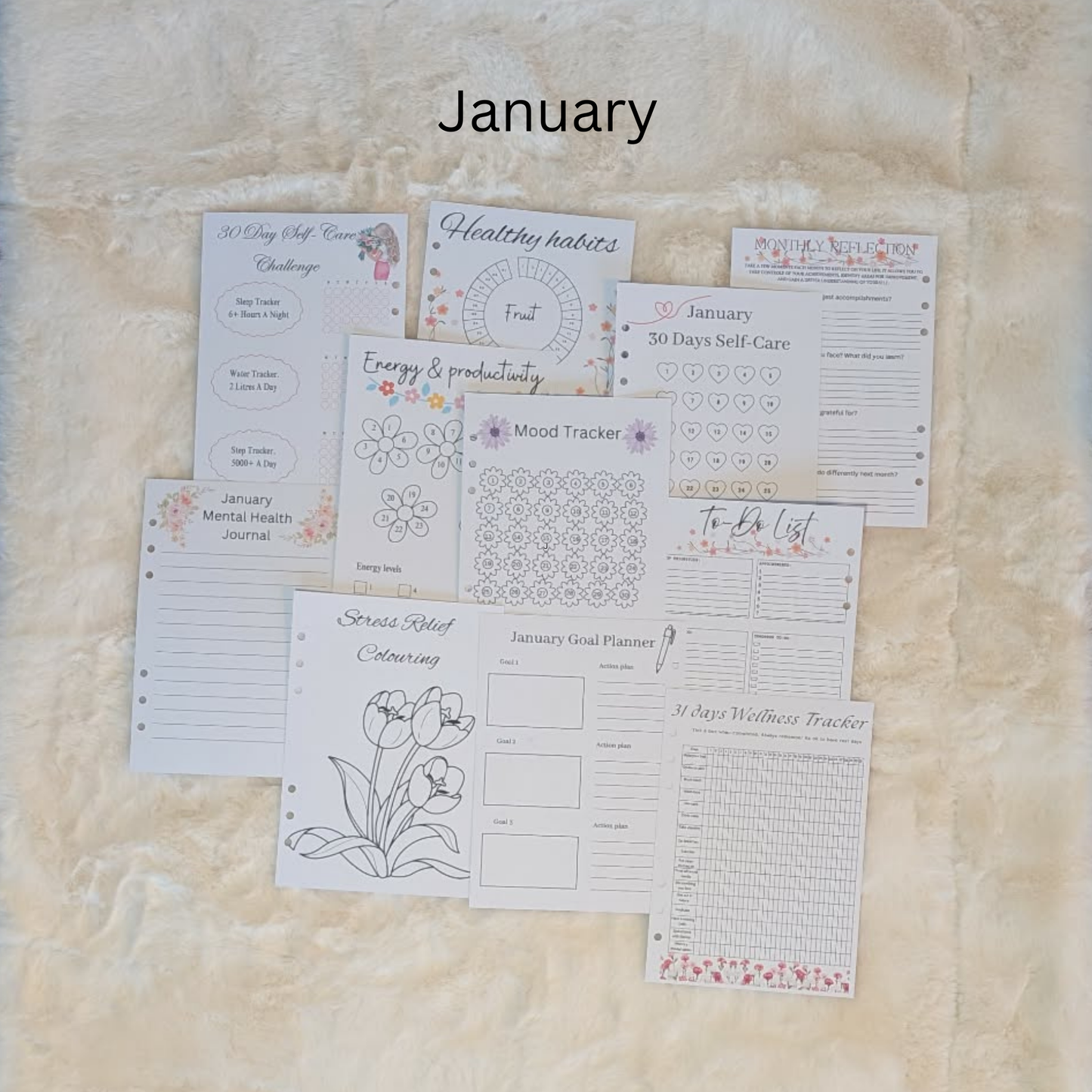 Personalised Wellness Journal