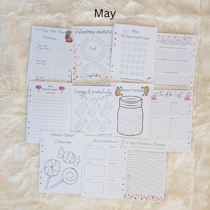 Personalised Wellness Journal