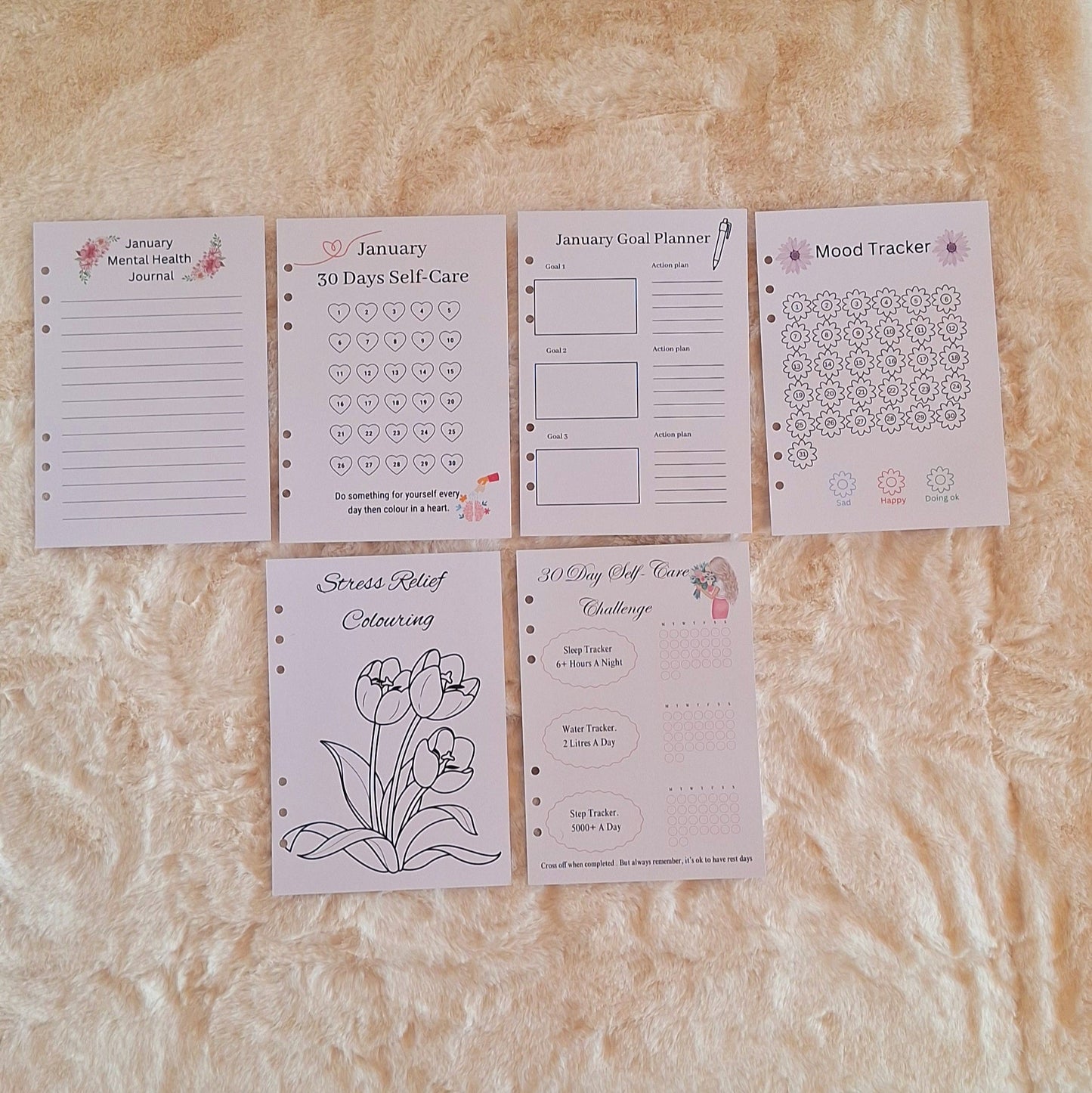 Wellness Journal