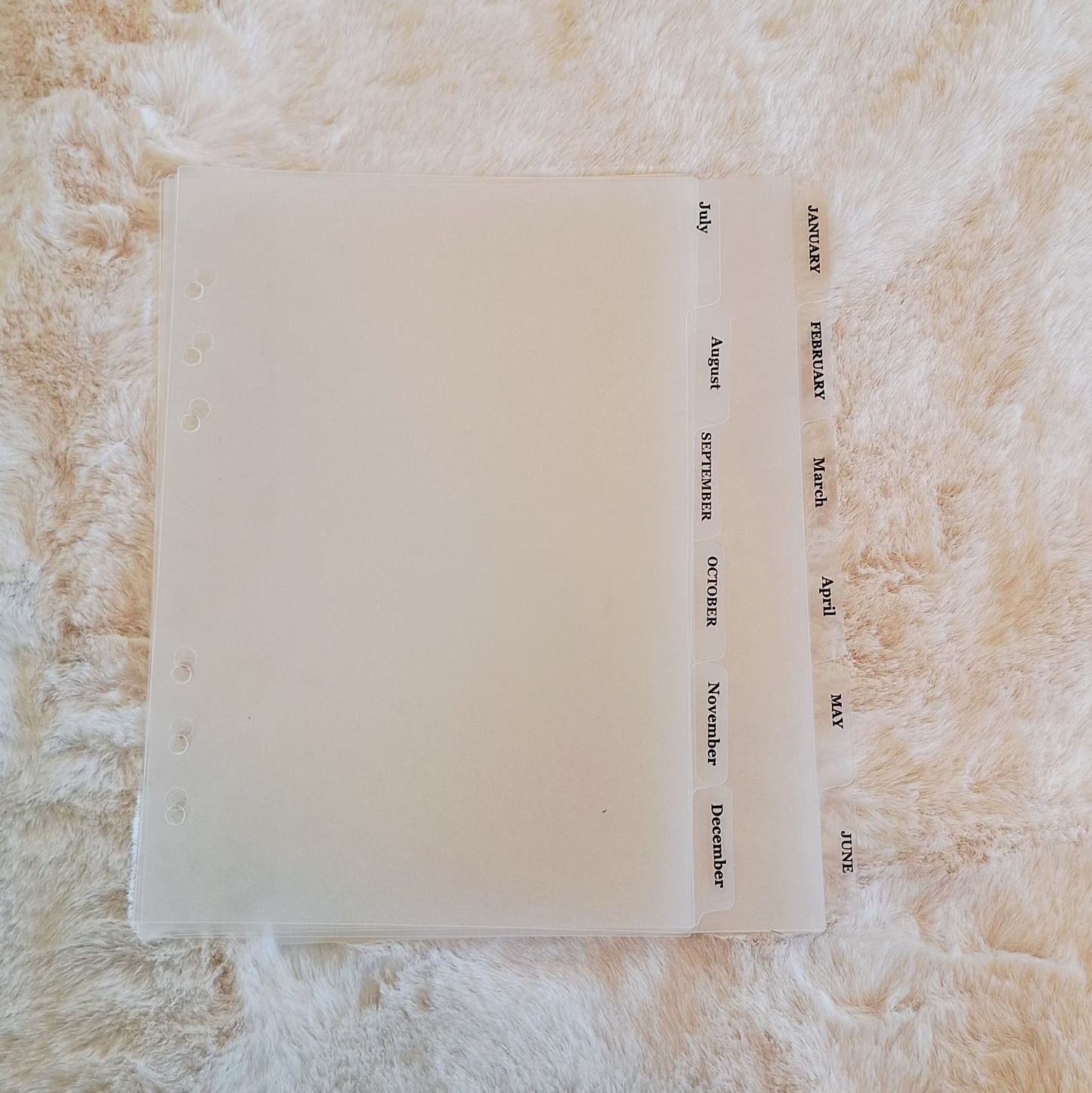 Monthly 12 page Dividers