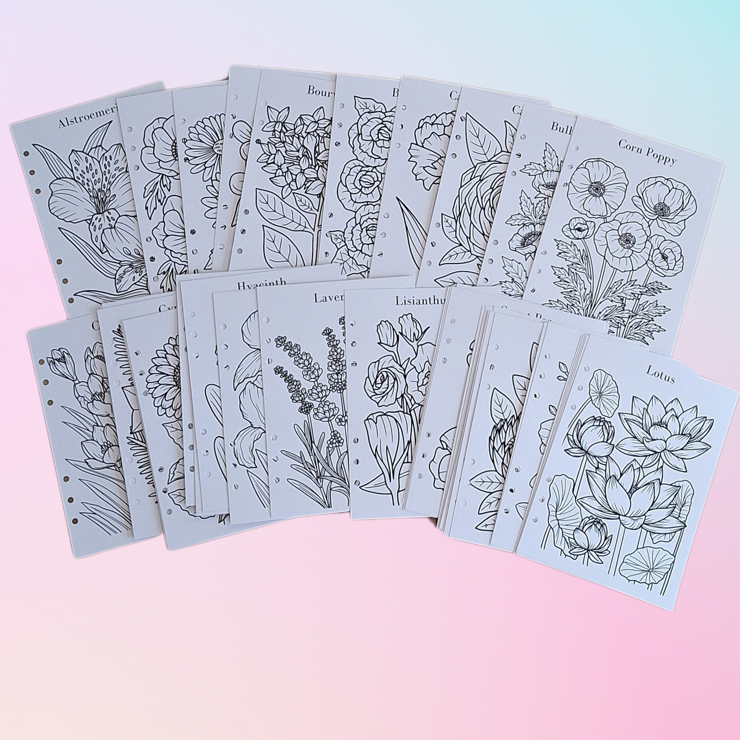 Relaxing Flower Colouring